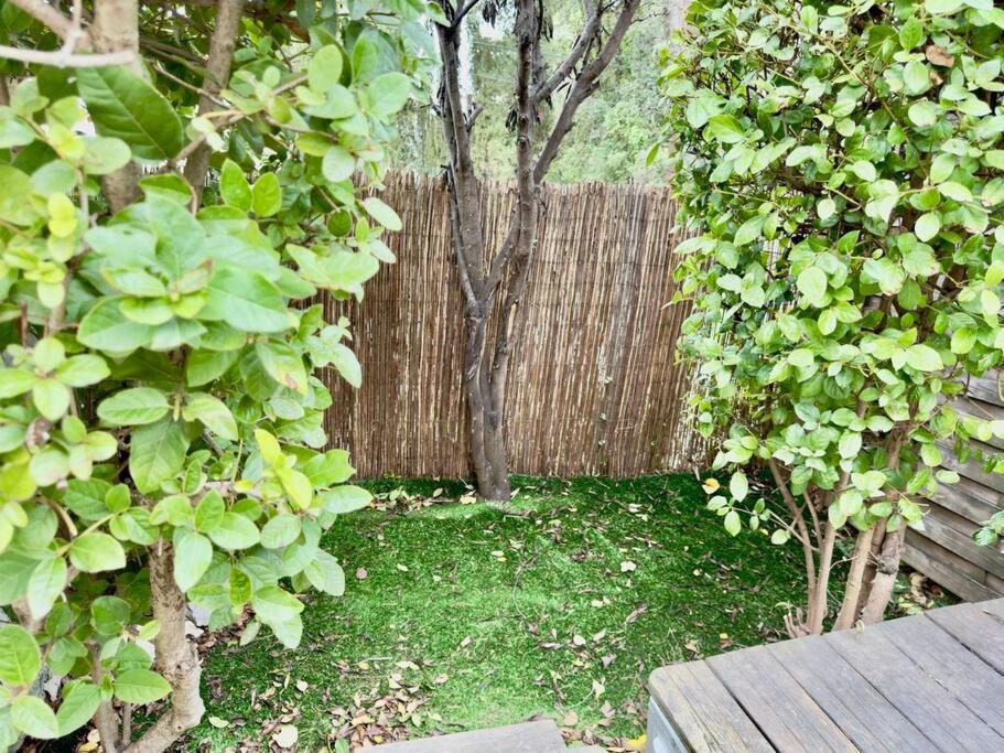 Maison Au Calme 2 Chambres Terrasse Clim Parking Gratuit Μονπελιέ Εξωτερικό φωτογραφία